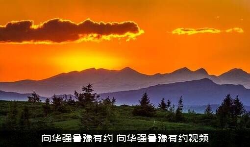 向华强鲁豫有约（向华强鲁豫有约视频）