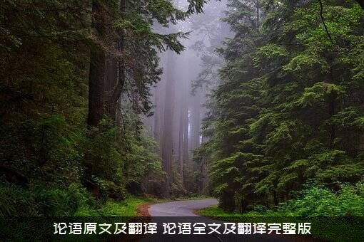 论语原文及翻译（论语全文及翻译完整版）