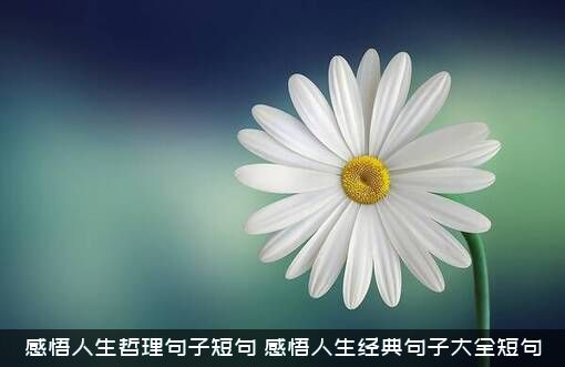感悟人生哲理句子短句（感悟人生经典句子大全短句）
