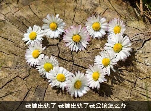 老婆出轨了（老婆出轨了老公该怎么办）