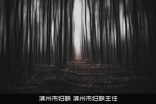 滨州市妇联（滨州市妇联主任）
