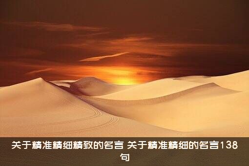 关于精准精细精致的名言（关于精准精细的名言138句）