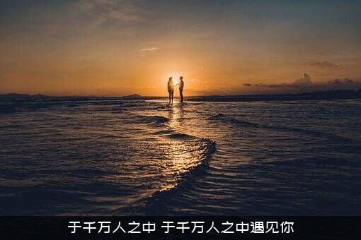 于千万人之中（于千万人之中遇见你）