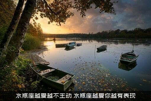 水瓶座越爱越不主动？水瓶座越爱你越有表现