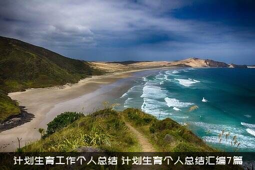 计划生育工作个人总结（计划生育个人总结汇编7篇）