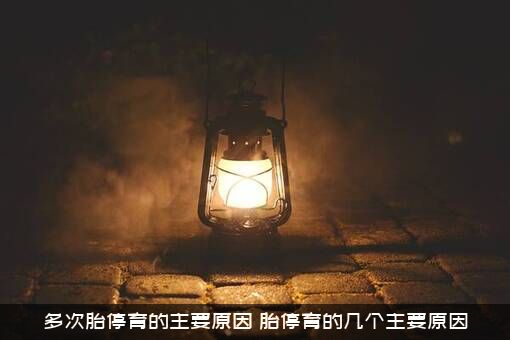 多次胎停育的主要原因（胎停育的几个主要原因）