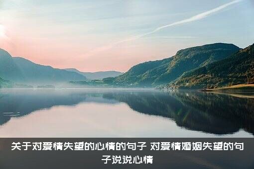 关于对爱情失望的心情的句子（对爱情婚姻失望的句子说说心情）