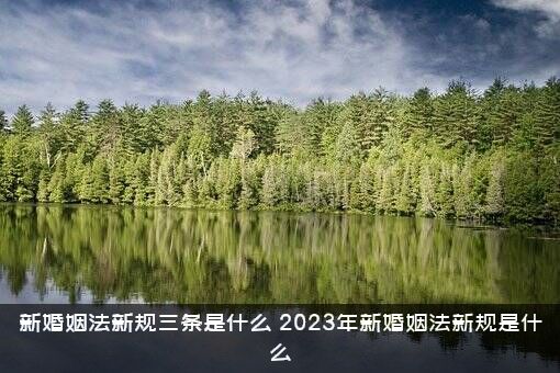 新婚姻法新规三条是什么？2023年新婚姻法新规是什么？