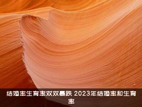 结婚率生育率双双暴跌（2023年结婚率和生育率）