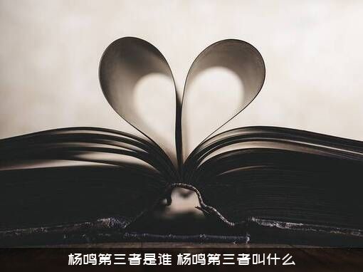 杨鸣第三者是谁（杨鸣第三者叫什么）
