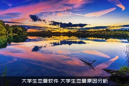 大学生恋爱软件（大学生恋爱原因分析）