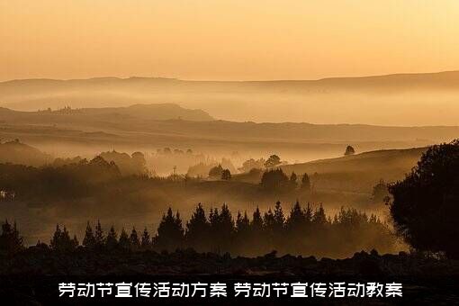劳动节宣传活动方案（劳动节宣传活动教案）