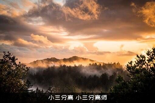 小三分离（丈夫和小三分开多久无法起诉她）