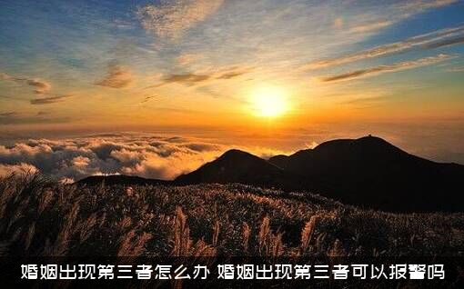 婚姻出现第三者怎么办（婚姻出现第三者可以报警吗）