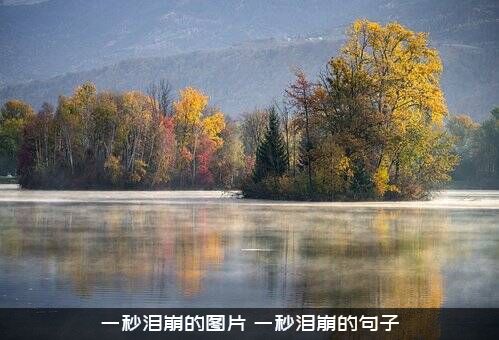 一秒泪崩的图片（一秒泪崩的句子）