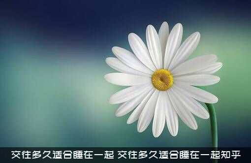 交往多久适合睡在一起（交往多久适合睡在一起知乎）