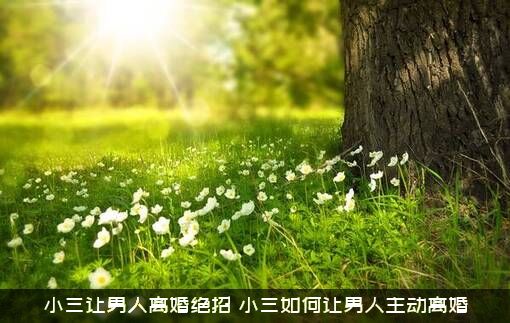 小三让男人离婚绝招（小三如何让男人主动离婚）