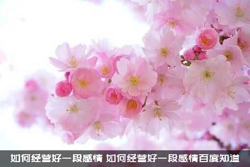 如何经营好一段感情？如何经营好一段感情百度知道