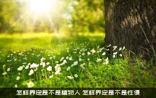 怎样界定是不是植物人？怎样界定是不是性侵