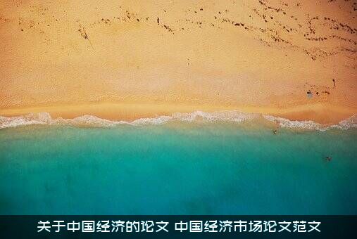 关于中国经济的论文（中国经济市场论文范文）