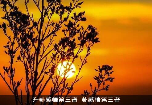 升卦感情第三者（姤卦感情第三者）