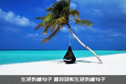 生活伤感句子（面对现实生活伤感句子）