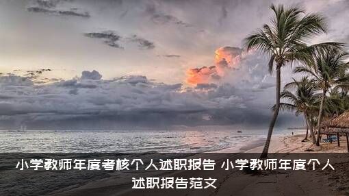 小学教师年度考核个人述职报告（小学教师年度个人述职报告范文）