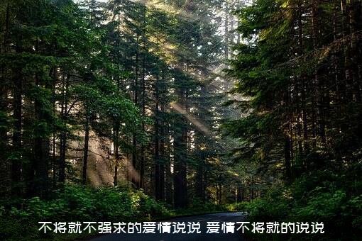 不将就不强求的爱情说说？爱情不将就的说说