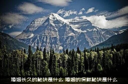 婚姻长久的秘诀是什么？婚姻的保鲜秘诀是什么？