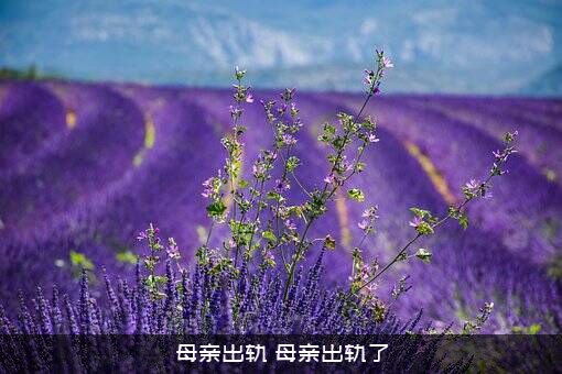 母亲出轨（母亲出轨了）
