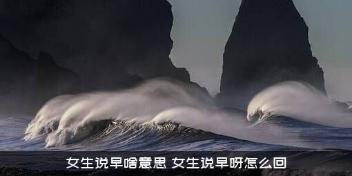 女生说早啥意思（女生说早呀怎么回）