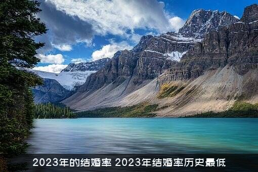 2023年的结婚率（2023年结婚率历史最低）