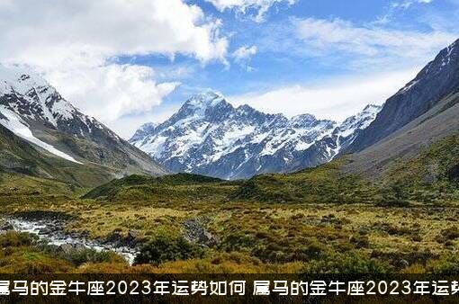 属马的金牛座2023年运势如何？属马的金牛座2023年运势