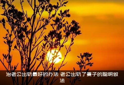 治老公出轨最好的办法（老公出轨了妻子的聪明做法）