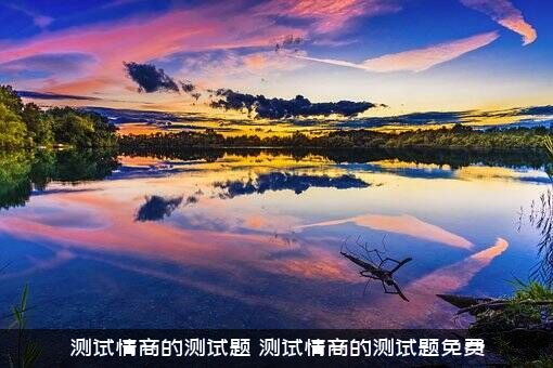 测试情商的测试题（测试情商的测试题免费）