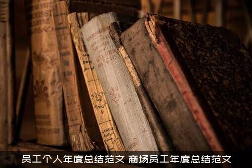 员工个人年度总结范文（商场员工年度总结范文）