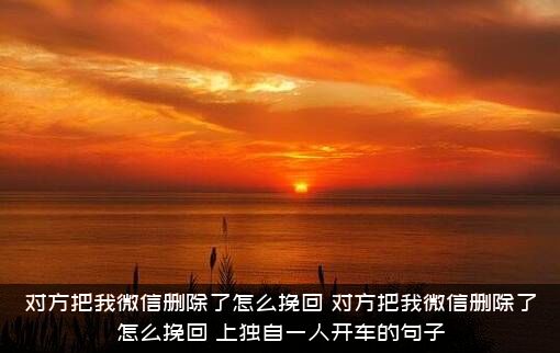 对方把我微信删除了怎么挽回（对方把我微信删除了怎么挽回晩上独自一人开车的句子）