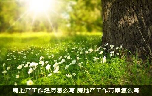 房地产工作经历怎么写？房地产工作方案怎么写？