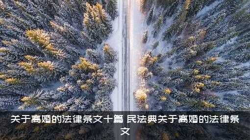 关于离婚的法律条文十篇（民法典关于离婚的法律条文）