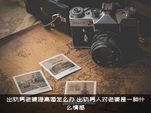 出轨男老婆提离婚怎么办（出轨男人对老婆是一种什么情感）