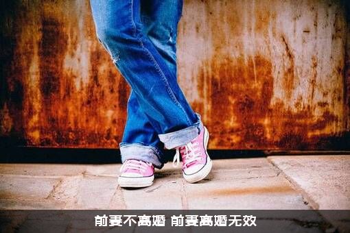 前妻不离婚（前妻离婚无效）