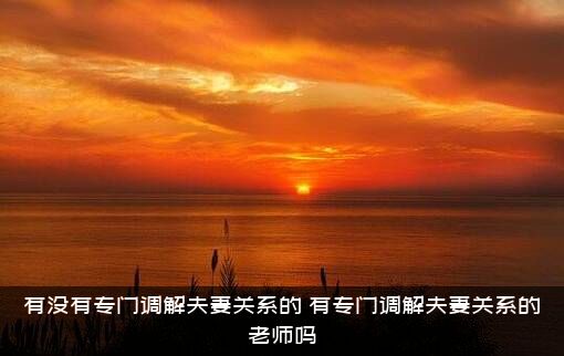 有没有专门调解夫妻关系的（有专门调解夫妻关系的老师吗）