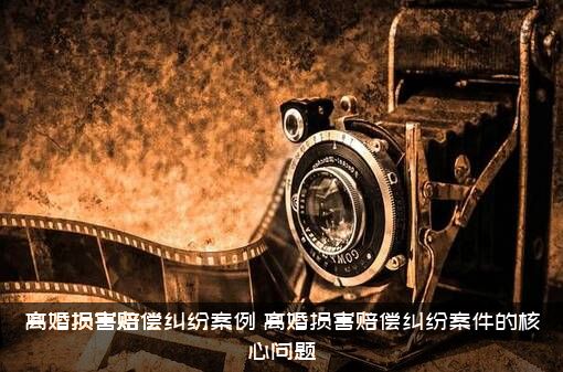 离婚损害赔偿纠纷案例（离婚损害赔偿纠纷案件的核心问题）