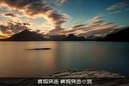 疯妈突击（疯妈突击小说）