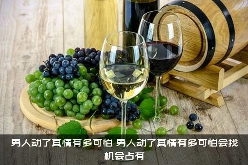 男人动了真情有多可怕（男人动了真情有多可怕会找机会占有）