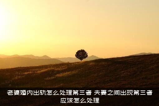 老婆婚内出轨怎么处理第三者？夫妻之间出现第三者应该怎么处理？