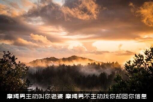 摩羯男主动叫你老婆（摩羯男不主动找你却回你信息）