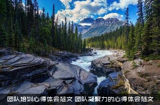 团队培训心得体会范文（团队凝聚力的心得体会范文）