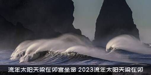 流年太阳天梁在卯宫坐命（2023流年太阳天梁在卯）