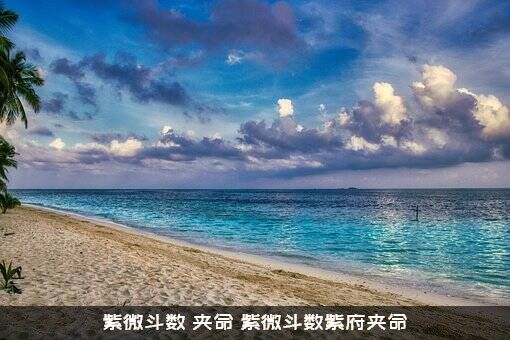 紫微斗数，夹命，紫微斗数紫府夹命